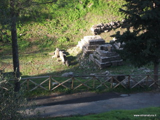 tapiccola-13-01-2013 09-43-26